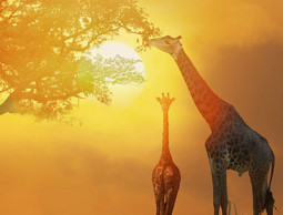 Тинейджеры пейзажи